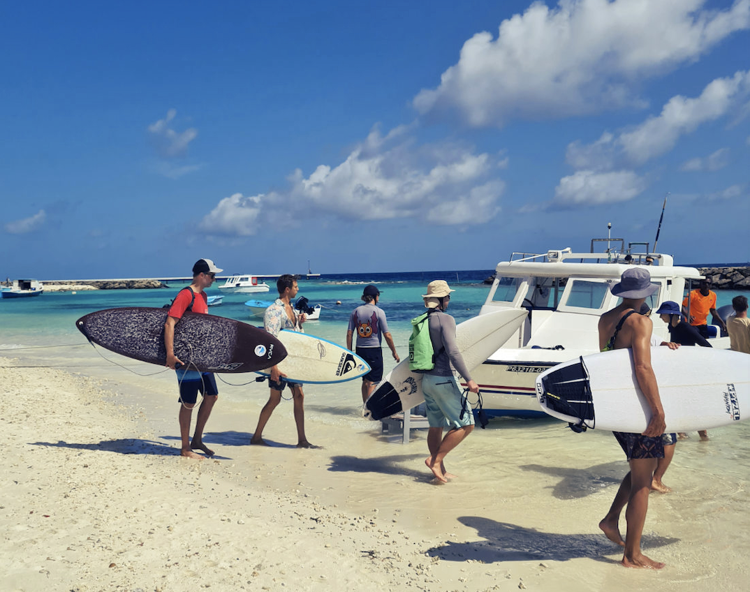 Designing for Wellness: The Importance of Biophilic Architecture